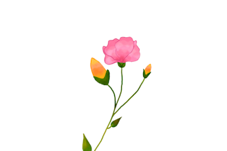 create digital watercolor elements for seamless patterns