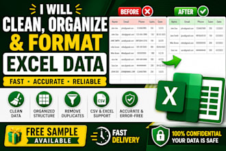clean, organize and format excel or CSV data