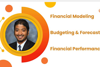 perform budgeting and forecasting and financial analysis