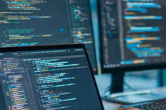 your front end developer