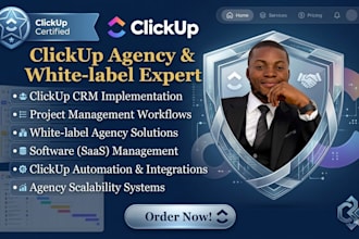 clickup project management clickup software management clickup CRM consultancy