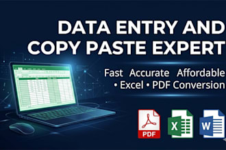 do data entry copy paste and excel work accurately and fast