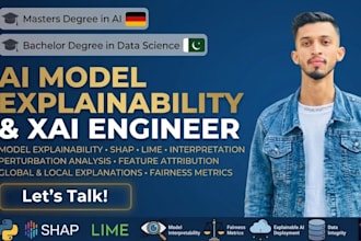 do ml model explainability, shap analysis and bias audit