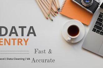 do data entry, ms excel work, data management