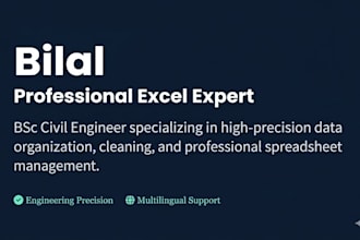 do professional data entry and basic microsoft excel tasks