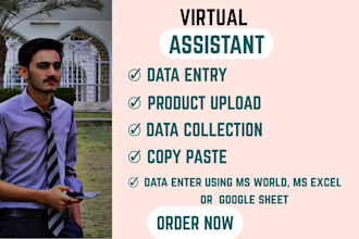 accurate data entry, copy past, data collection, excel data jobs