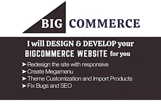 do professional bigcommerce website design redesign bigcommerce store