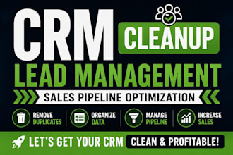 audit, clean, and structure your CRM database to boost sales team efficiency