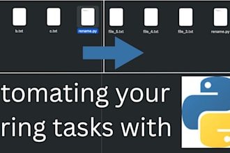 rename and organize your files with a python script