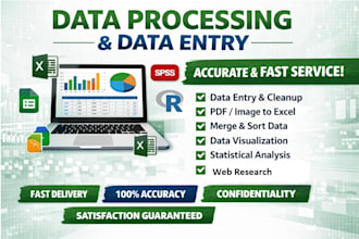 provide data entry type and processing