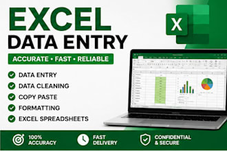 do accurate excel data entry and spreadsheet formatting
