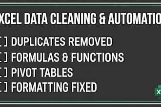 do excel data cleaning, formulae and organization