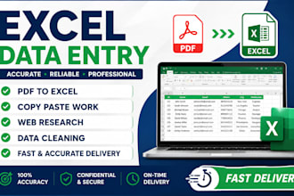 do excel data entry, pdf to excel, copy paste work