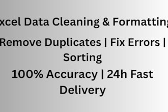 do professional data cleaning, excel data entry and formatting