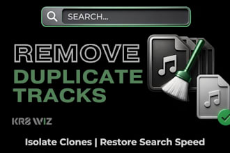 remove duplicate tracks and organize massive music libraries