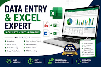 do professional data entry and excel spreadsheet work