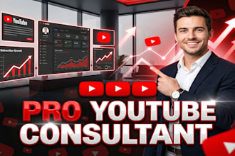 be your youtube consultant for channel growth and revenue