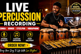 record percussion conga steelpan vibraphone for your song