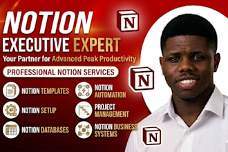 do custom notion template dashboard website notion planner consultant expert
