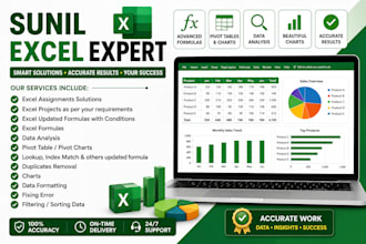 solve excel assignments and create professional reports