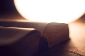 translate, proofread and format your content