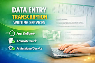 accurate data entry excel work