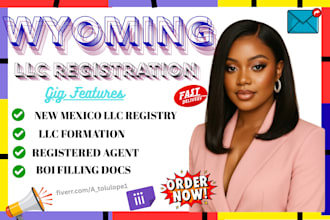 register US llc in wyoming, new mexico and delaware state