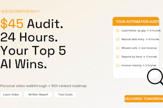 audit your business and find ai automation opportunities in 24 hours