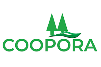 create and design your new logo