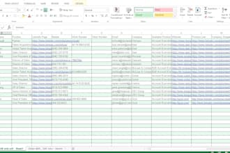 data entry and copy paste job accurately