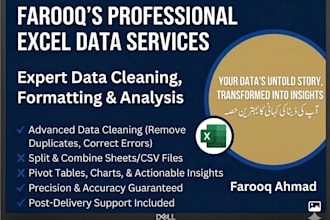 do excel data cleaning and data manipulation perfectly
