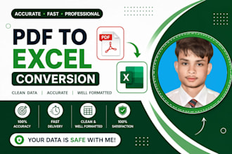 do PDF to excel conversion professionally