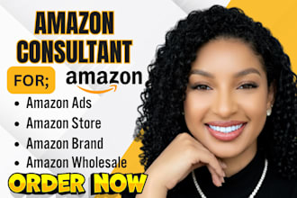 be your amazon consultant for amazon wholesale ads store and brand growth