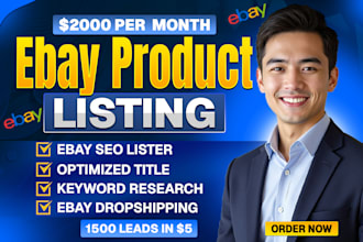 do ebay dropshipping USA market expert