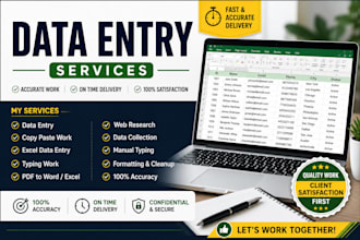 accurate data entry, typing, copy paste and excel work