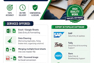 do expert data entry, excel data cleaning, and formatting