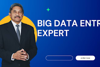 finish any big data entry tasks in 24 hours