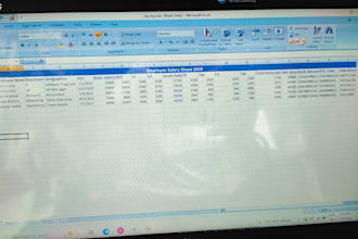 fast and accurate data entry in excel and google sheets