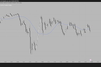 do professional trading backtesting and strategy data optimization