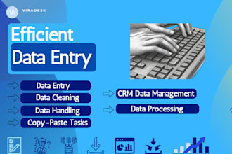 do data entry on excel or spreadsheet