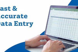 do fast and accurate data entry and pdf to conversion