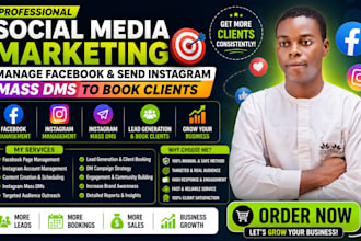 do social media marketing manage facebook ads send instagram mass dms to client
