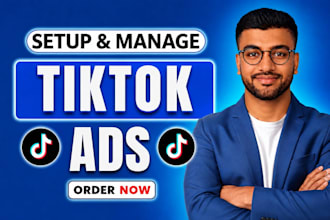 run tiktok ads campaign, tiktok advertising as your tiktok ads manager