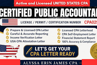 prepare financial statement, profit and lose, balance sheet, cash flow statement