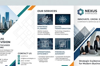 design a professional brochure or catalog