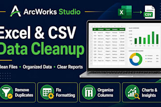 clean your excel or CSV data and create a business report