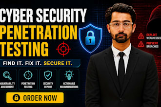 do web security testing and vulnerability assessment for businesses