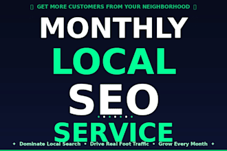 do monthly SEO service for local business, website traffic