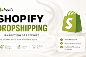 build a high converting shopify dropshipping store