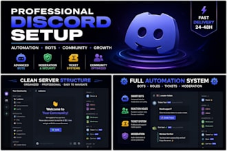 create a professional discord server with full automation